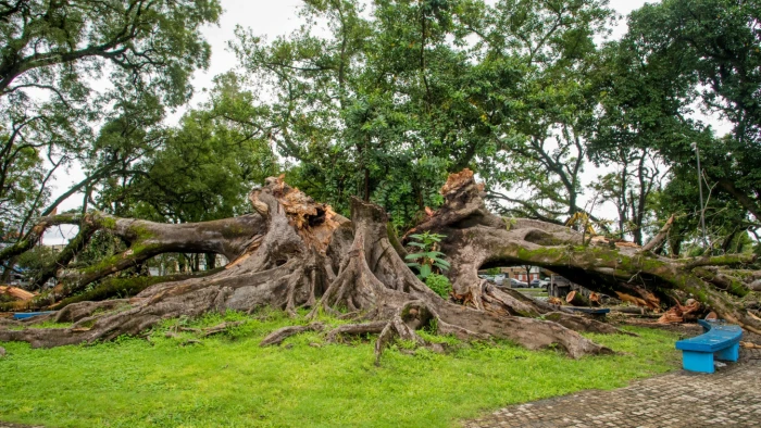 69c14d02327e6_700_394!