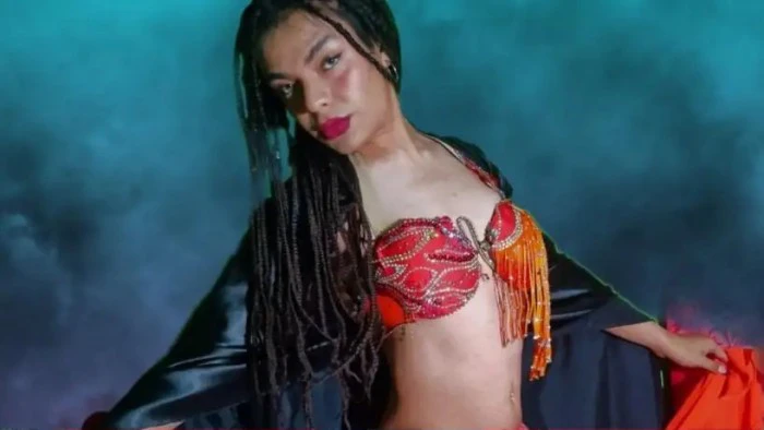 6977e8380c54a_700_394!