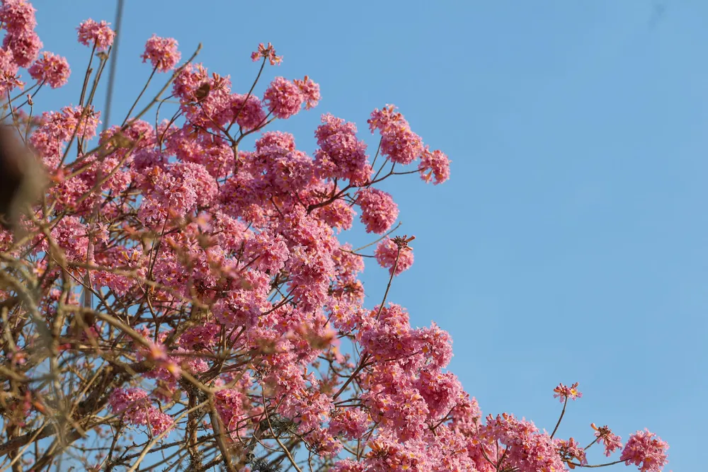 multimedia.normal.8a6131768389fae8.bm9ybWFsLndlYnA=