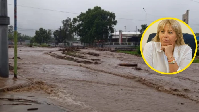 69862cccb5466_700_394!