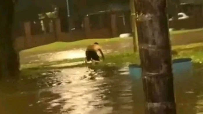 69d2592f93e7d_700_394!