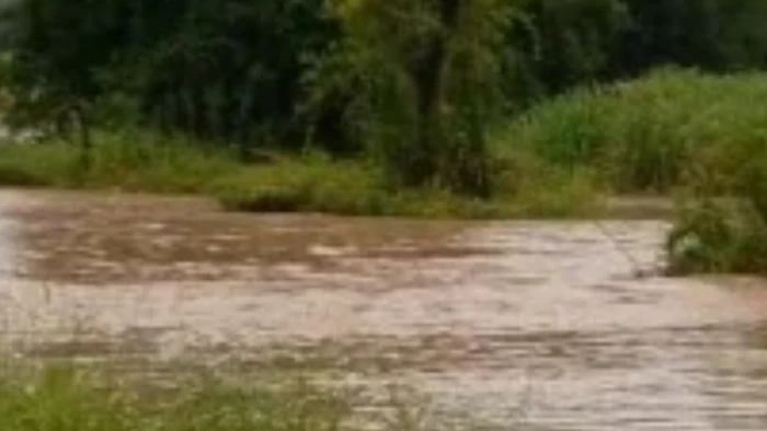 696e73e7220f0_700_394!