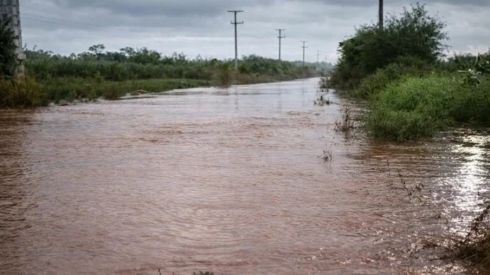 69cbacceb4dd5_700_394!